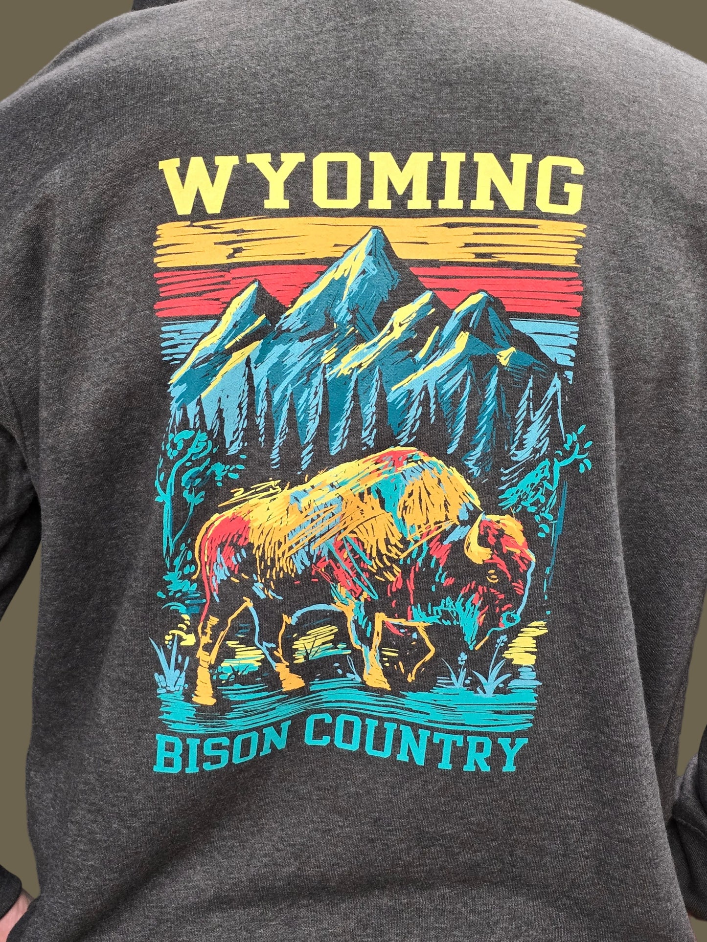 District Hoodie Wyo 1890 Buffalo