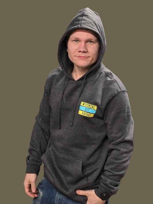District Hoodie Wyo 1890 Buffalo