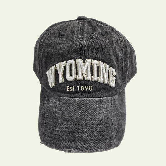 Wyoming Grey Wash Hat